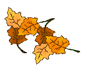 College and Career Ministry